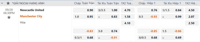 Soi tỉ số trận Newcastle - Manchester City và Arsenal - Leicester- Ảnh 5.